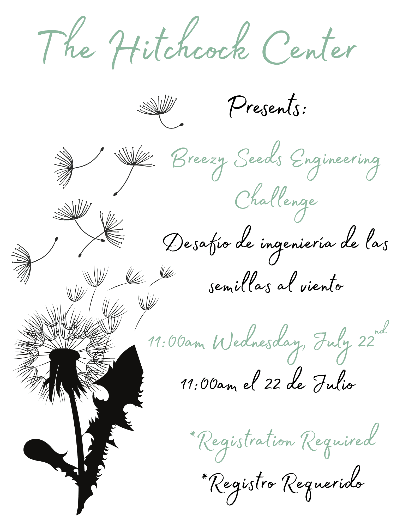 Black and white image of dandelion seeds. Text reads: Breezy Seeds Engineering Challenge Desafío de ingeniería de las semillas al viento The Hitchcock Center Presents: *Registration Required *Registro Requerido 11:00am Wednesday, July 22nd 11:00am el 22 de Julio