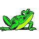 frog