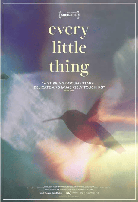 movie cover: every little thing "a stirring documentary and immensely touching"