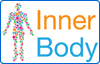 innerbody